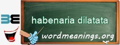 WordMeaning blackboard for habenaria dilatata